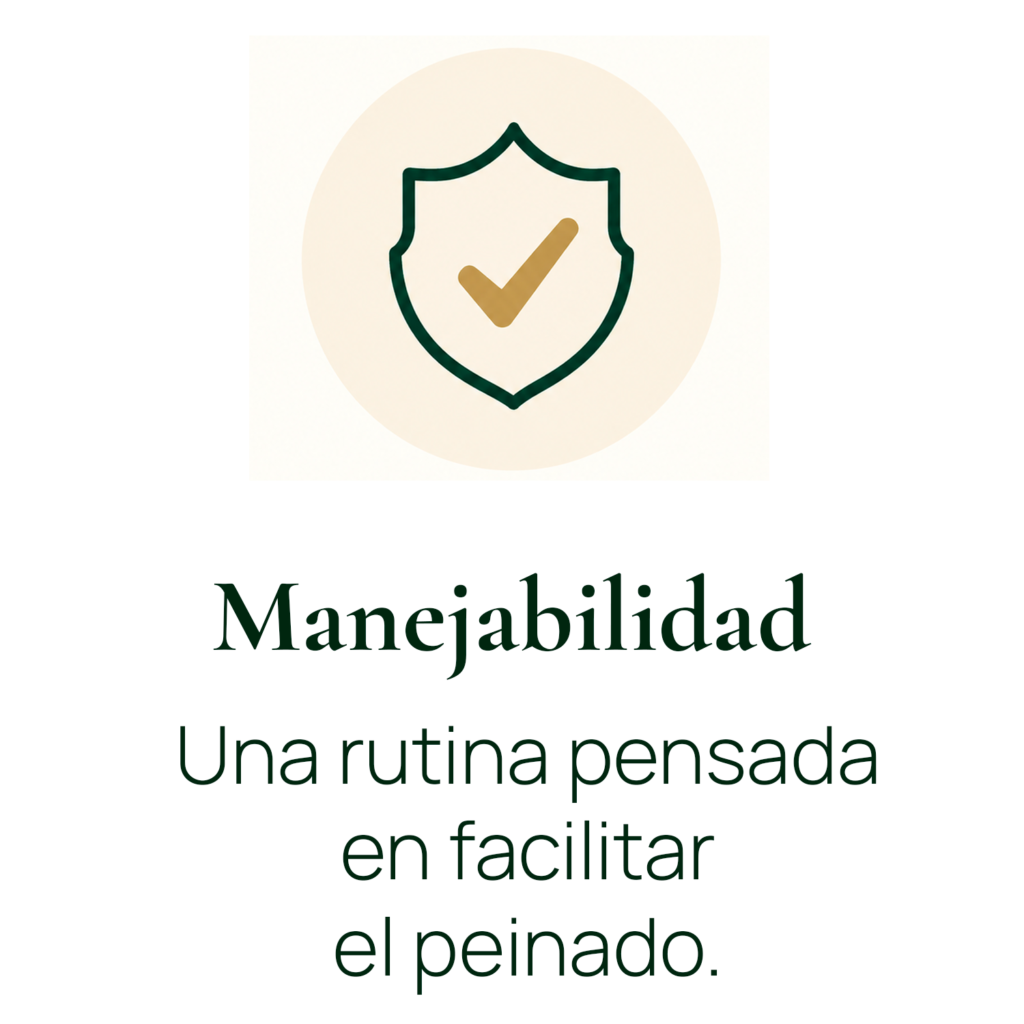 Manejabilidad